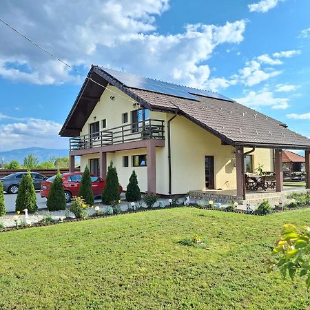Pensiunea Daria Haţeg Dış mekan fotoğraf