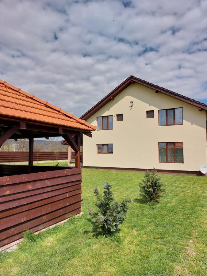 Pensiunea Daria Haţeg Dış mekan fotoğraf
